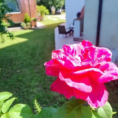 Casa Nildo *
